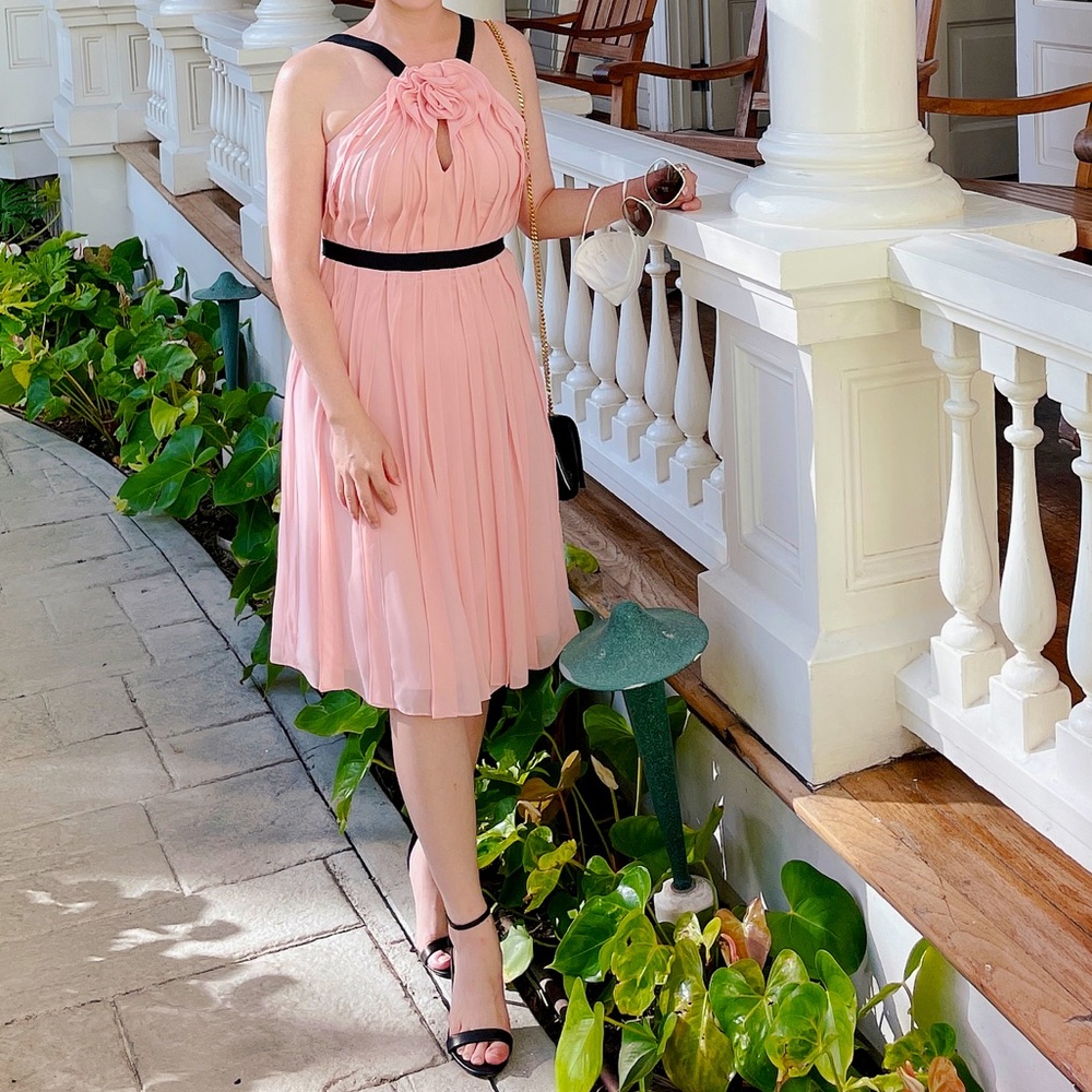 NWOT - Bcbgmaxazria pink chiffon dress - Size 0